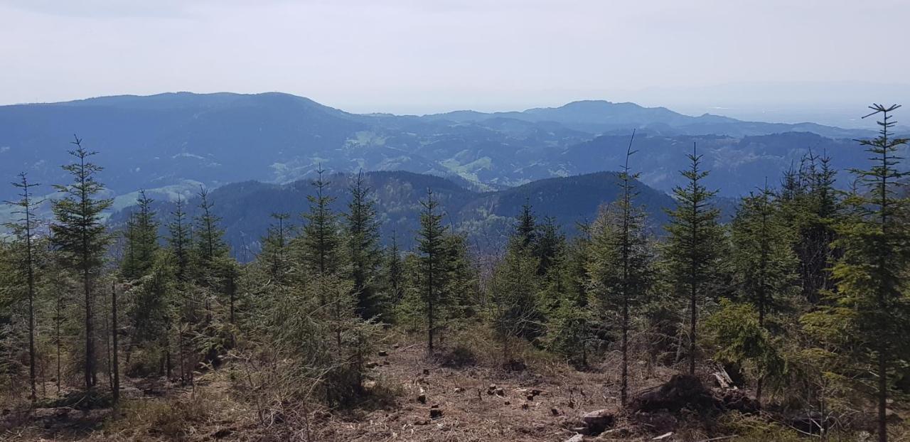 Ferienwohnung "Hirschlein" Im Schwarzwald Baiersbronn Exterior foto